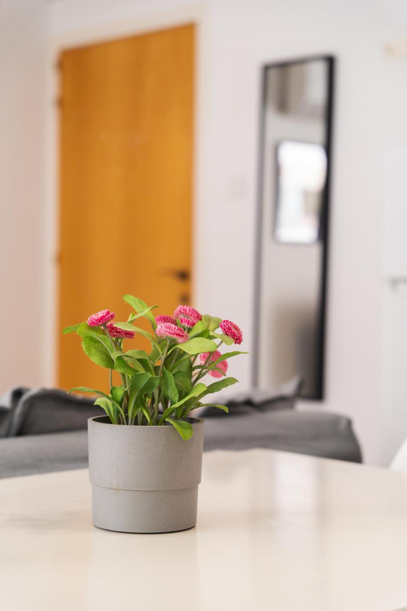 Kave Blue Mackenzie 1 Bdr Flat With Pool Apartman Lárnaka Kültér fotó